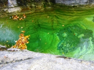 Papingo Rock Pools Zagorochoria