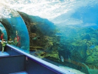 Ενυδρείο Κρήτης Θαλασσόκοσμος Aquarium Crete CretAquarium 