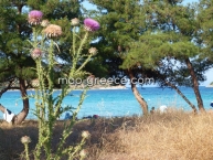 Lagonisi Beach Kalamaras Sithonia - Agios Nikolaos Chalkidiki - Ακτή Λαγονήσι Καλαμαράς Σιθωνία - Άγιος Νικόλαος Χαλκιδική 